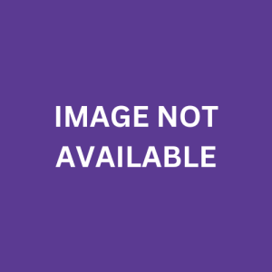 32 Channel USB Relay (DPST) Module